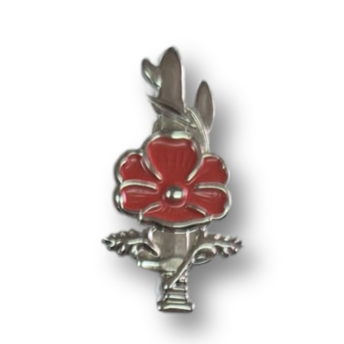 סיכת אות נכי צה"ל