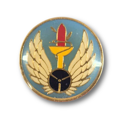 סיכת טייסת מנהלה רמון