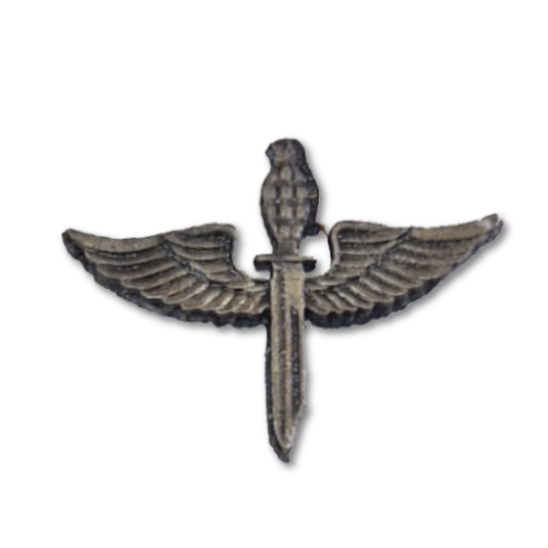 סיכת מחלקת סייר