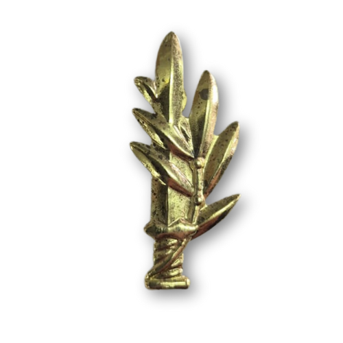 סיכת קצין זהב