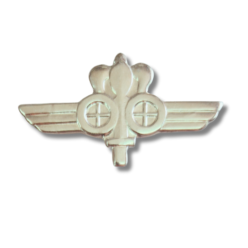 סיכה מודיעין שדה יחידת תצפיתנים 869