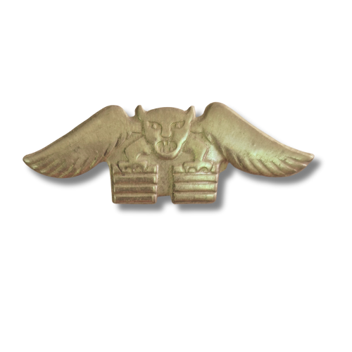 סיכת לוחם בפלוגת אשוח