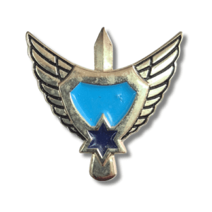 הגנה קרקעית (הגנ"ק)