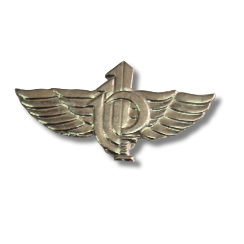 גדוד הסיור טופז ה-934