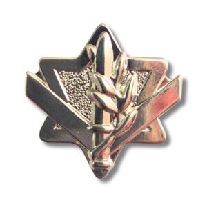 סמל נגד ראשוני ממתכת בצורת מגן דוד